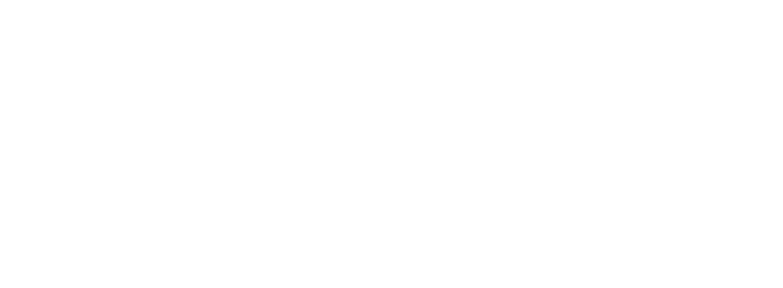 logo saniez access blanc